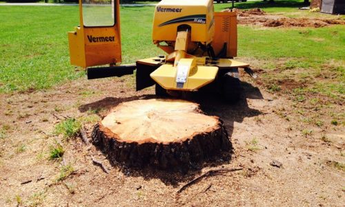 Stump-Removal-process